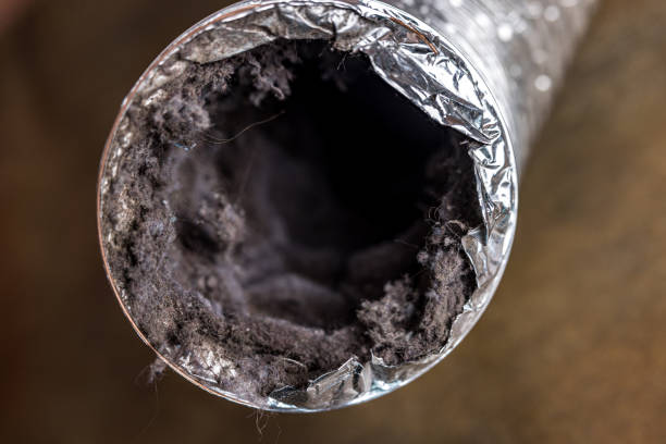 Best HVAC Duct Inspection Services  in Walnutport, PA