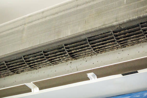 Affordable HVAC Duct Cleaning in Walnutport, PA